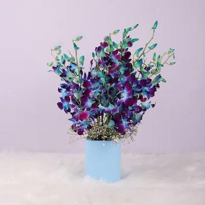 Mesmerising Blue Orchids Vase Mesmerising Blue Orchids Vase , No. of Stems: 10 , Fillers: Green Seasonal Fillers.

